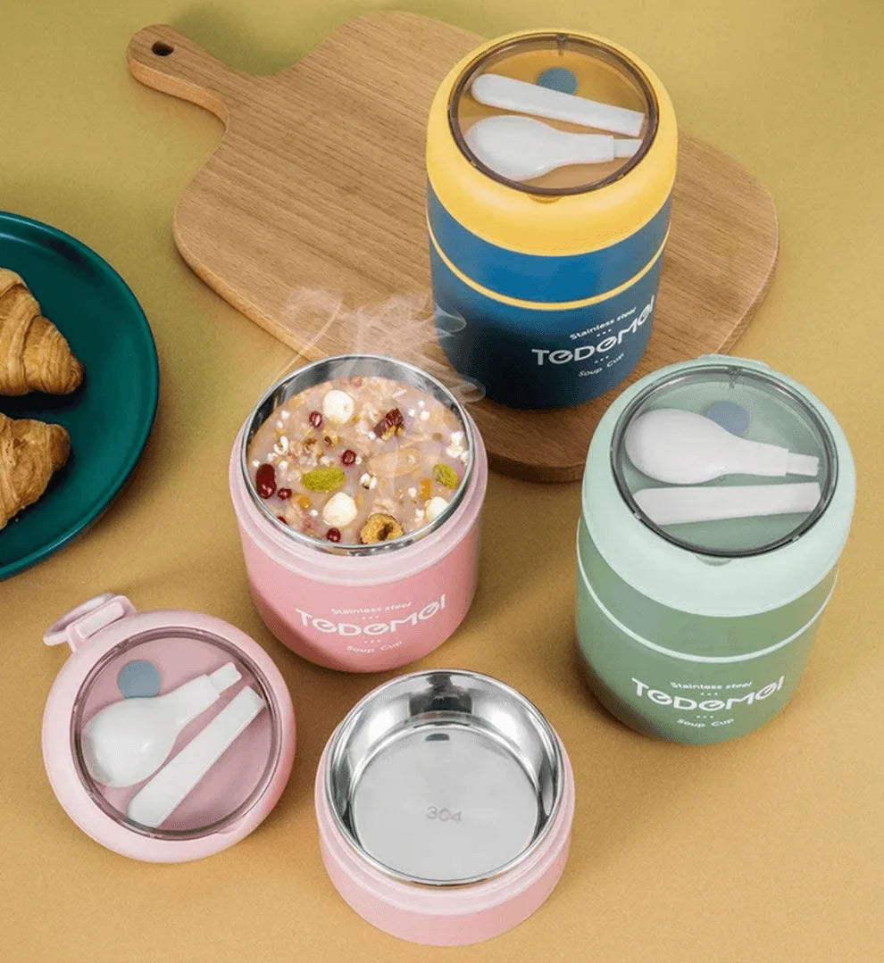 Tedemei Double Level Thermal Insulated Steel Bento Box