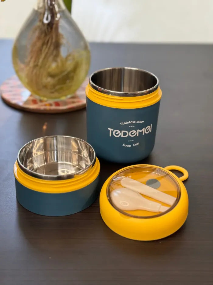 Tedemei Double Level Thermal Insulated Steel Bento Box