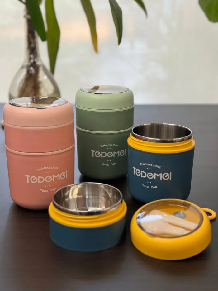 Tedemei Double Level Thermal Insulated Steel Bento Box